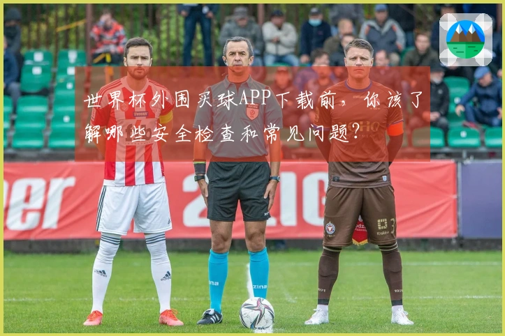 世界杯外围买球APP下载前，你该了解哪些安全检查和常见问题？